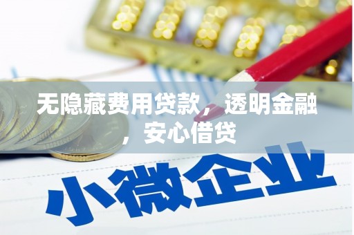 广东无隐藏费用贷款，透明金融，安心借贷