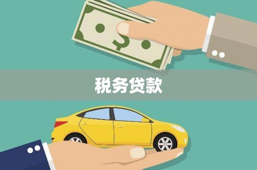 广东税务贷款
