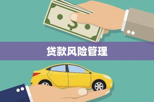 广东贷款风险管理