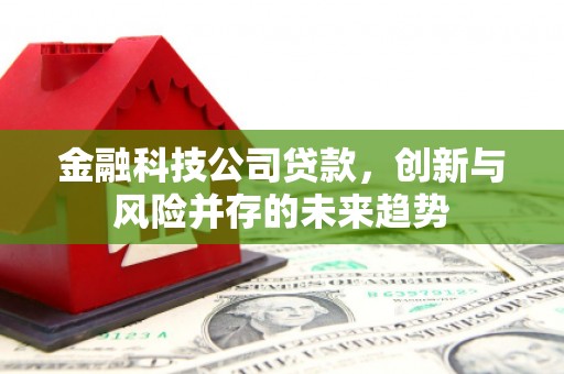 广东金融科技公司贷款，创新与风险并存的未来趋势