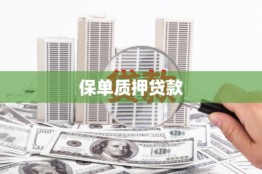广东保单质押贷款