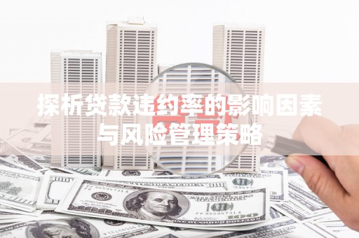 广东探析贷款违约率的影响因素与风险管理策略