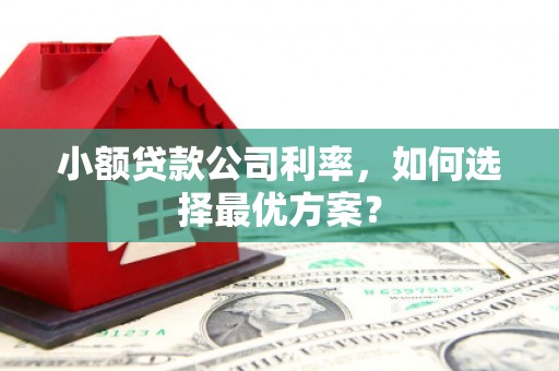 广东小额贷款公司利率，如何选择最优方案？