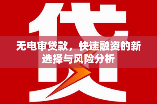 广东无电审贷款，快速融资的新选择与风险分析