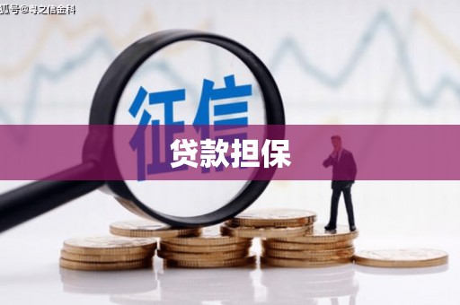 广东贷款担保