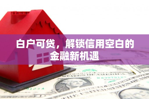 广东白户可贷，解锁信用空白的金融新机遇