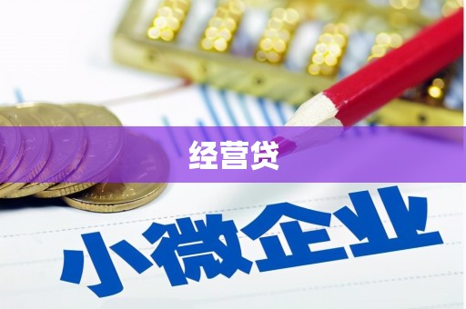广东经营贷