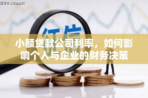 广东小额贷款公司利率，如何影响个人与企业的财务决策