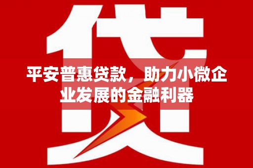 广东平安普惠贷款，助力小微企业发展的金融利器