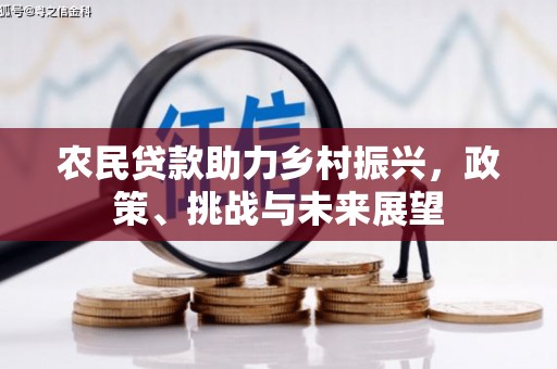 广东农民贷款助力乡村振兴，政策、挑战与未来展望