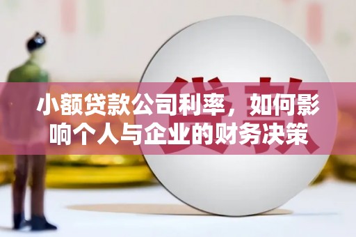 广东小额贷款公司利率，如何影响个人与企业的财务决策