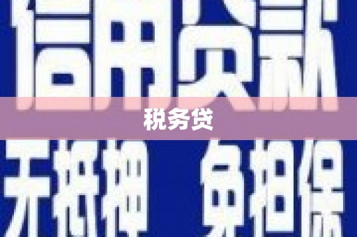 广东税务贷