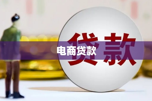 广东电商贷款