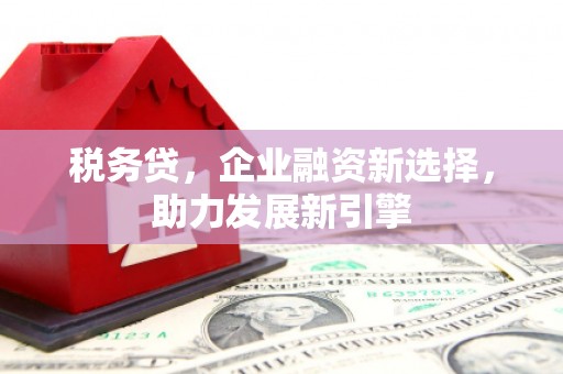 广东税务贷，企业融资新选择，助力发展新引擎