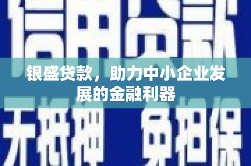 广东银盛贷款，助力中小企业发展的金融利器