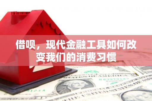 广东借呗，现代金融工具如何改变我们的消费习惯