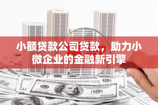 广东小额贷款公司贷款，助力小微企业的金融新引擎