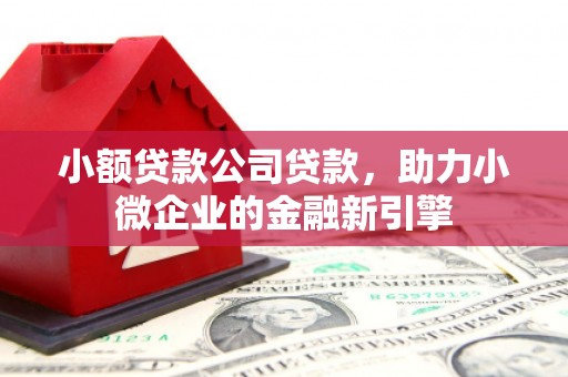 广东小额贷款公司贷款，助力小微企业的金融新引擎
