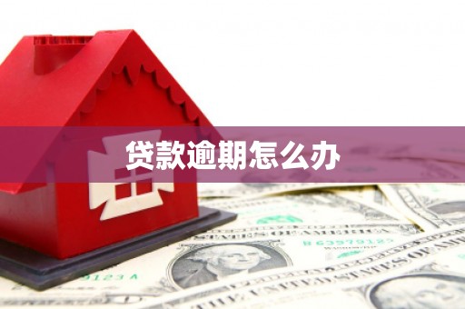 广东贷款逾期怎么办