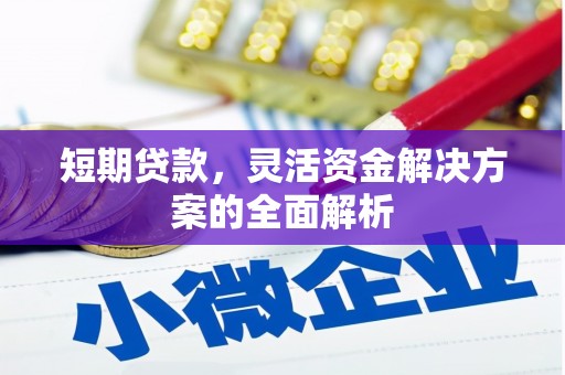 广东短期贷款，灵活资金解决方案的全面解析
