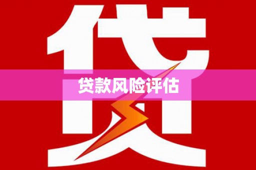 广东贷款风险评估