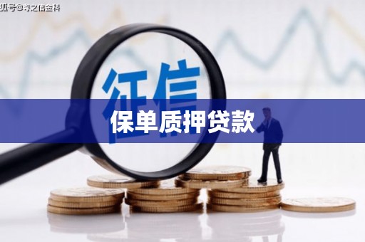 广东保单质押贷款