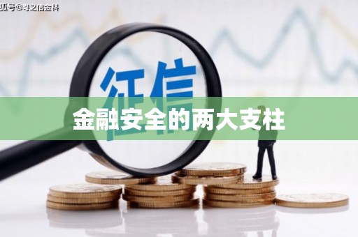 广东金融安全的两大支柱