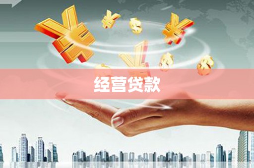 广东经营贷款