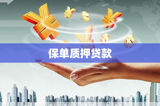 广东保单质押贷款