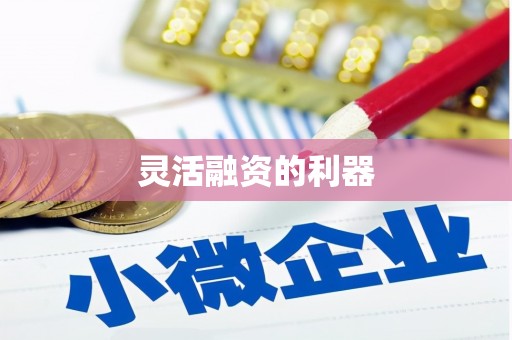 广东灵活融资的利器