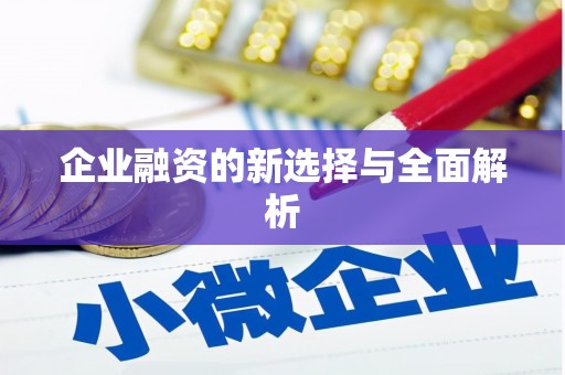 广东企业融资的新选择与全面解析