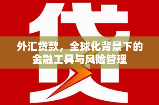 广东外汇贷款，全球化背景下的金融工具与风险管理