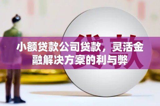广东小额贷款公司贷款，灵活金融解决方案的利与弊