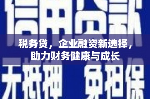 广东税务贷，企业融资新选择，助力财务健康与成长