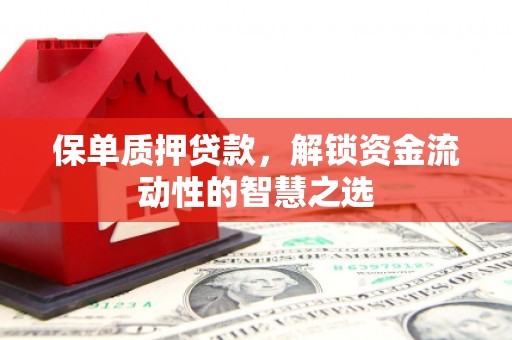 广东保单质押贷款，解锁资金流动性的智慧之选