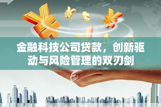 广东金融科技公司贷款，创新驱动与风险管理的双刃剑