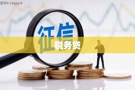 广东税务贷