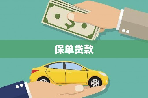 广东保单贷款 广东保单贷款